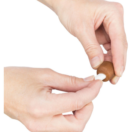 TRIXIE skanėstas šunims 100 g