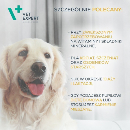 VET EXPERT Multivitaminų preparatas šunims ir katėms - 30 kapsulių