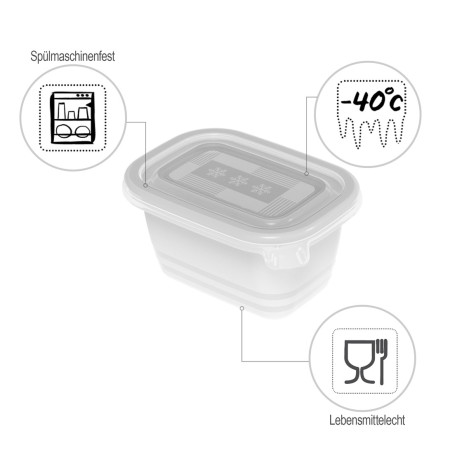 ROTHO Freeze šaldiklio indas 6x250ml