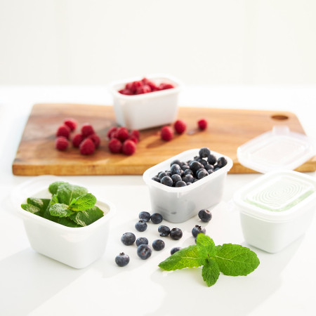 ROTHO Freeze šaldiklio indas 6x250ml