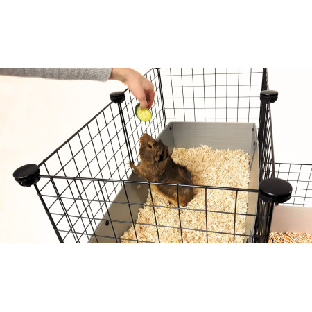 C&C modulinis narvas 4x2 + Loft 2x1 + pilka rampa