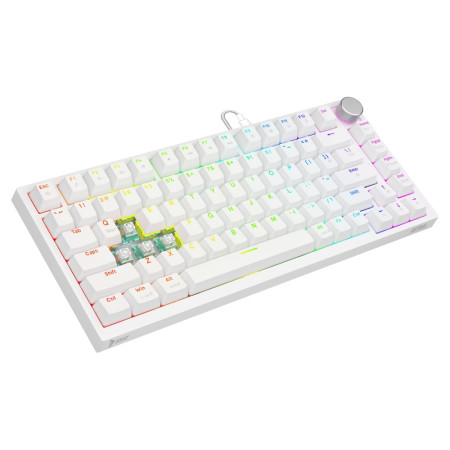 Savio ASTRAL WHITE JADE klaviatūra Žaidimams USB QWERTY JAV tarptautinė versija Balta