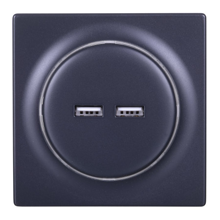 Fibaro šakutės lizdas su 2x USB Juoda