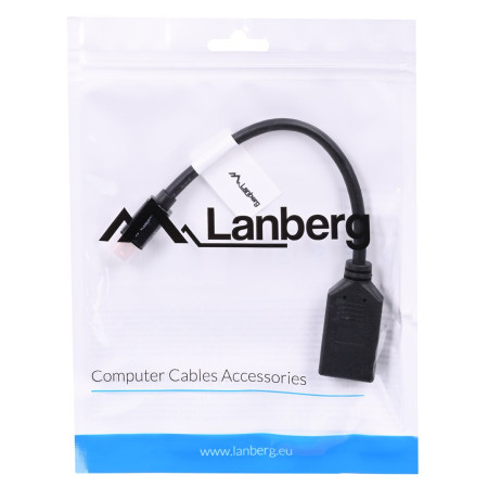 Lanberg Mini DisplayPort Kabelis, 0,12 m, Juodas