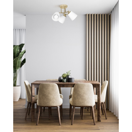 Activejet AJE-EMILY 3P GD lubų šviestuvas E27 120 W