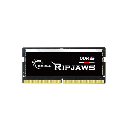 G.Skill Ripjaws F5-5600S4040A16GX1-RS 16GB DDR5 atminties modulis