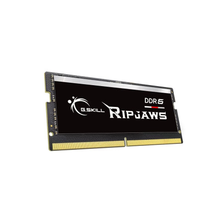 G.Skill Ripjaws F5-5600S4040A16GX1-RS 16GB DDR5 atminties modulis