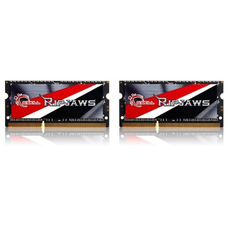 G.Skill 16GB DDR3-1866 atminties modulis