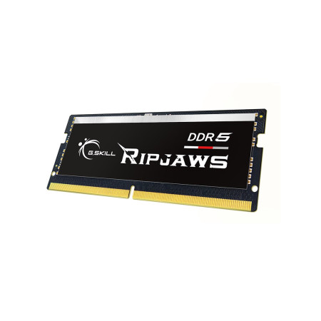 G.Skill Ripjaws 32 GB DDR5 5600 MT/s atminties modulis