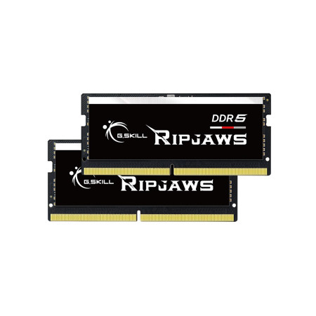 G.Skill Ripjaws 32 GB DDR5 5600 MT/s atminties modulis