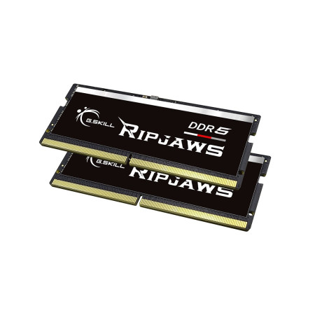 G.Skill Ripjaws 32 GB DDR5 5600 MT/s atminties modulis