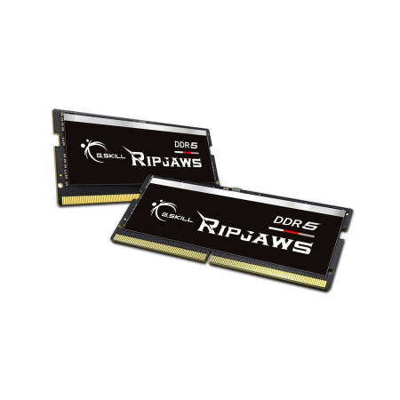 G.Skill Ripjaws 32 GB DDR5 4800 MHz atminties modulis