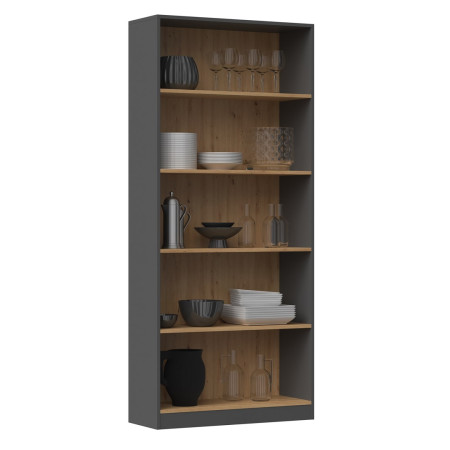 Topeshop R80 ANT/ART knygų lentyna