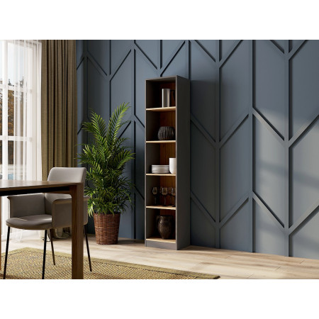 R40 ANT/ART knygų lentyna biurui