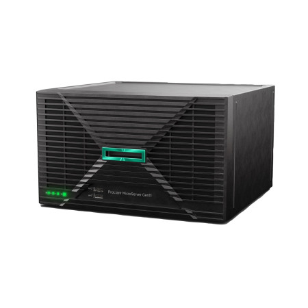 HPE ProLiant MicroServer Gen11 G7400 2C 0GB serveris