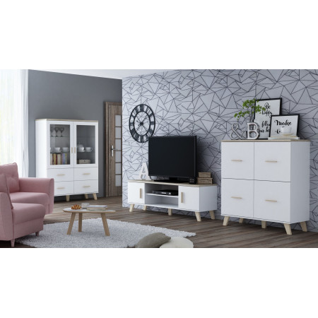 Cama RTV LOTTA 160 2D2K TV stovas
