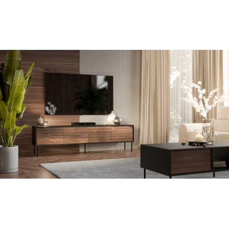 Cama CORTINA 490310 TV stovas su dviem spintomis