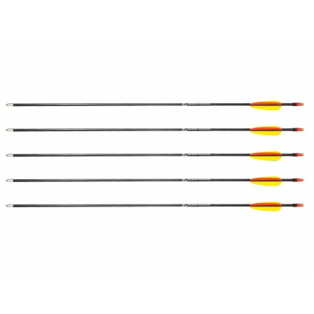 Poe Lang 28“ stiklo pluošto strėlės - 5 vnt.