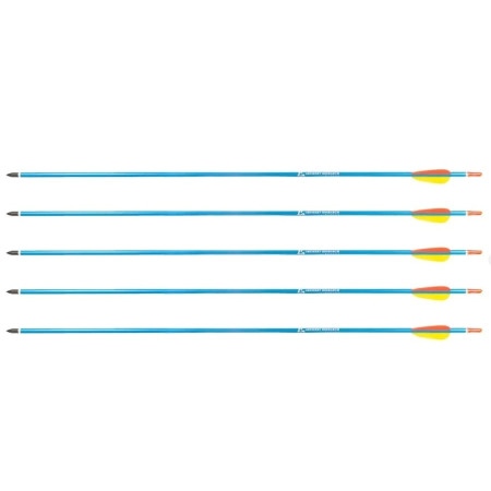 Poe Lang Target 30" aliuminio strėlės - 5 vnt.