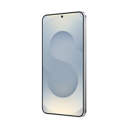 Samsung Galaxy S25 Enterprise Edition 6.2" Dviguba SIM Sidabras