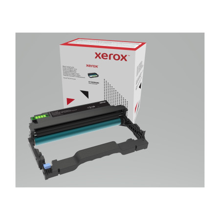 Xerox 013R00691 tonerio kasetė 1 vnt