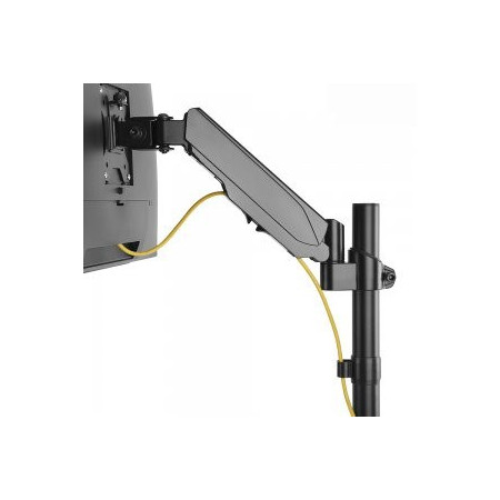 Maclean monitoriaus laikiklis 32 colių