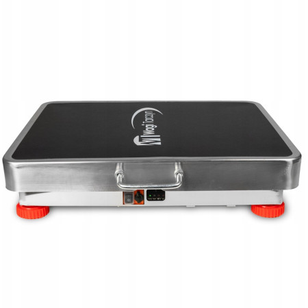 Wagi Tarczyn WT-095N platforminės svarstyklės 300 kg