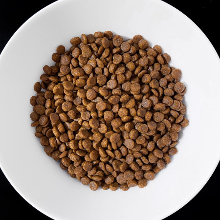 VET RESPONSE Gastrointestinal - sausas kačių maistas - 400g