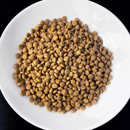 VET RESPONSE Weight balance - sausas kačių maistas - 1,6kg