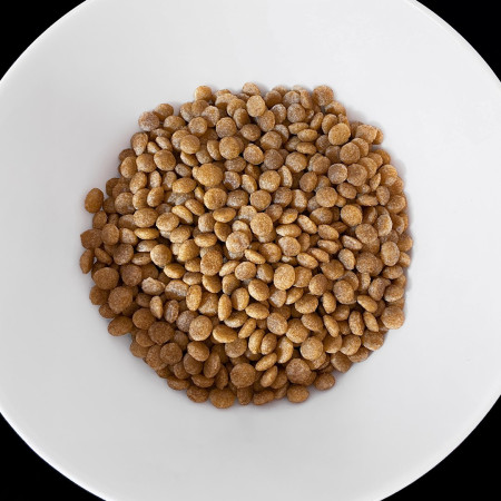 VET RESPONSE Hypoallergenic - sausas kačių maistas - 1,6kg