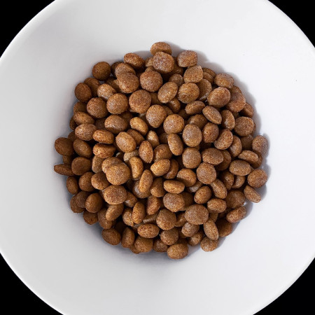 VET RESPONSE Hipolerginis Sausas Maistas Šunims - 8kg