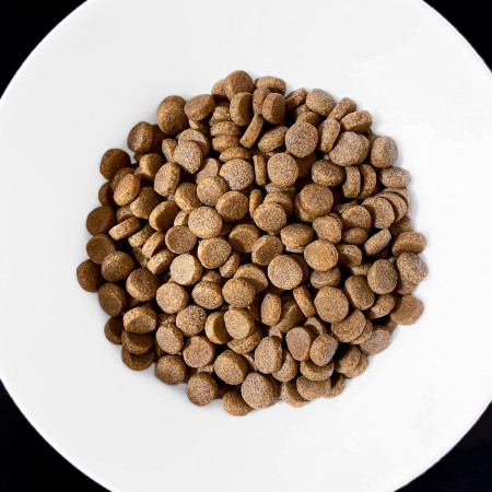 Vet Response Weight Balance - sausas maistas šunims - 8 kg