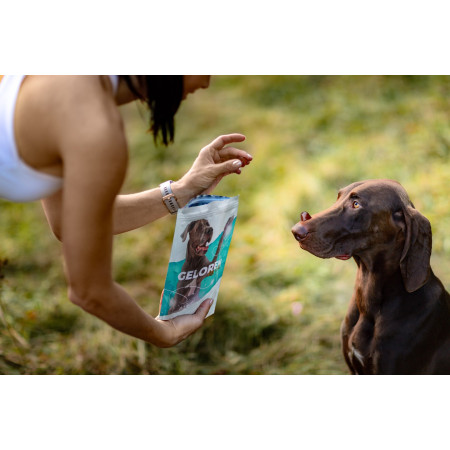 GELOREN Large dog Joints - šunų vitaminai - 420g