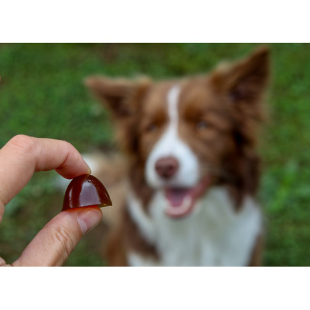 GELOREN Small dog Joints - šunų vitaminai - 180g