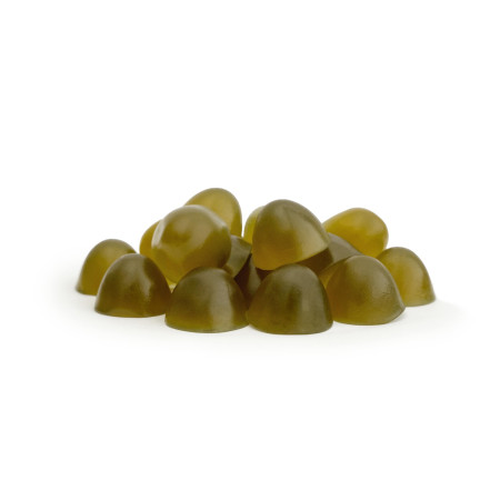 GELOREN Horse HA sąnariams - vitaminai arkliams - 450g