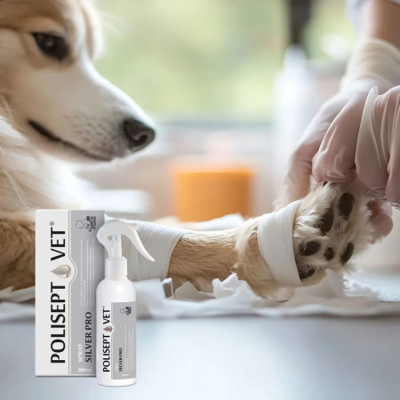 JM SANTE Polisept Vet Spray Silver Pro - žaizdų skystis šunims ir katėms – 200 ml