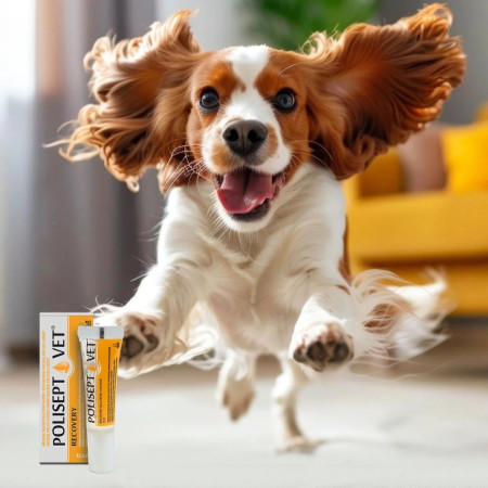 JM SANTE Polisept Vet Recovery - energetinis preparatas šunims ir katėms – 12 ml