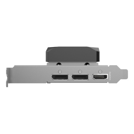 ZOTAC GAMING GeForce RTX 5060 Low Profile 8 GB GDDR7