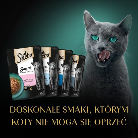 SHEBA Sauce Collection žuvies skonių mišinys padaže - Mokra karma katėms - 40x85g
