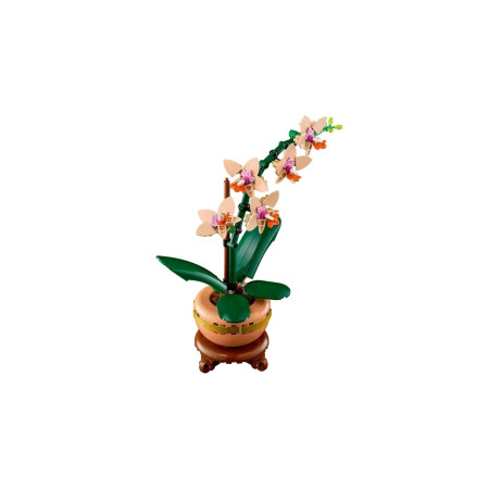 LEGO Botanical Collection 10343 Maža orchidea