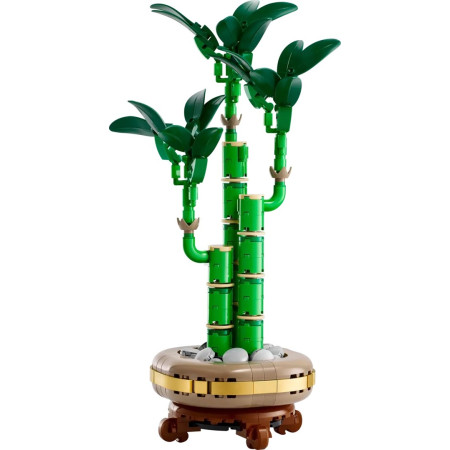 LEGO Botanical Collection 10344 Dracena sandera