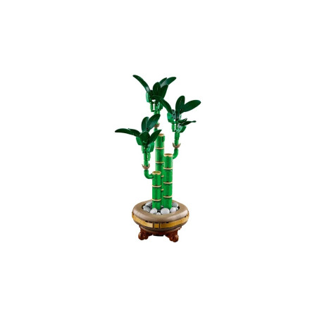 LEGO Botanical Collection 10344 Dracena sandera