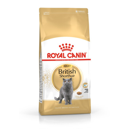 Royal Canin FBN British Shorthair Adult - sausa karma katėms 10kg