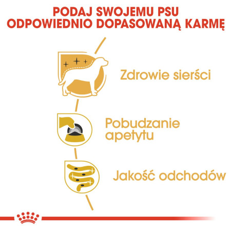 ROYAL CANIN Yorkshire Terrier - 12x85g