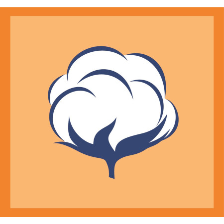 Vileda Rapid lentos dangtis