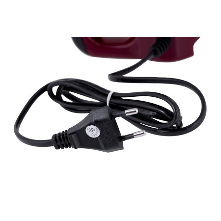 Russell Hobbs 24670-56 rankinis plaktuvas 350 W Raudonas