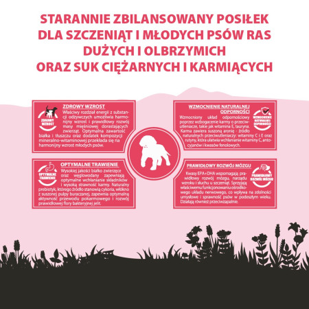 PUPIL PREMIUM JUNIOR XL sausas maistas šunims su jautiena 12kg