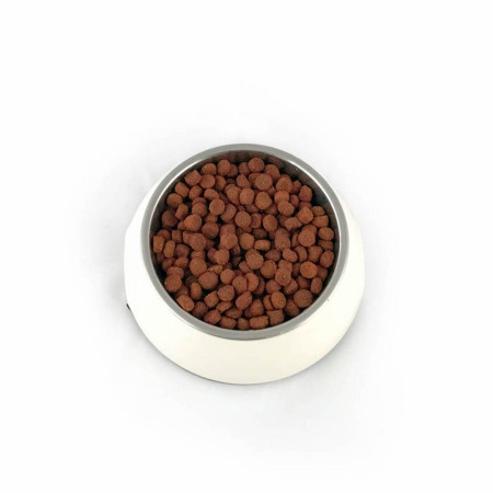 PUPIL PREMIUM M&L su aviena 12kg