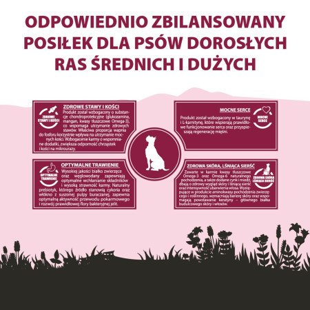 Pupil Premium Maistas su Jautiena - 12kg