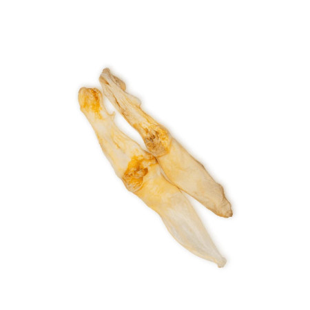 UNISZKI Triušio ausis be kailio - skanėstas šunims